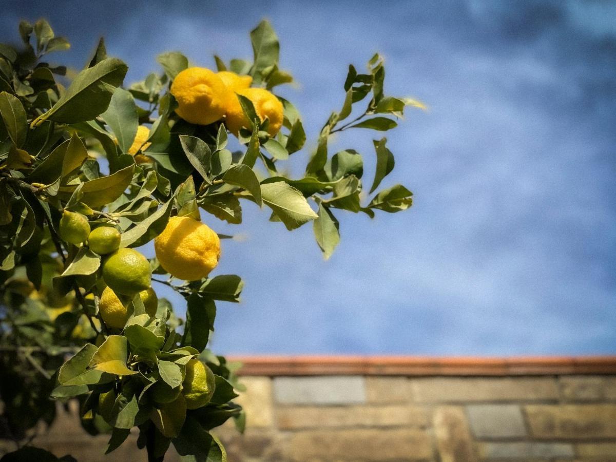 Da Ilaria Primo Piano Di Villa Con Piscina E Parcheggio Grosseto Exterior foto